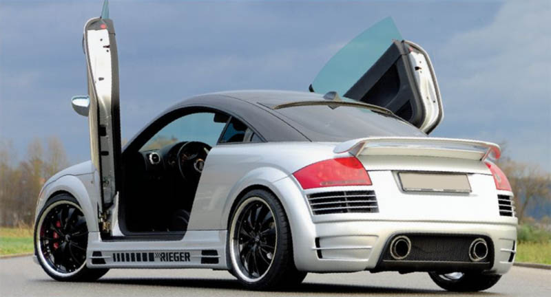 Rieger Tuning Body Kit Bumper In Carbon Fiber Look For The Audi Tt