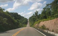 Road_BR_174_to_Manaus_indxy