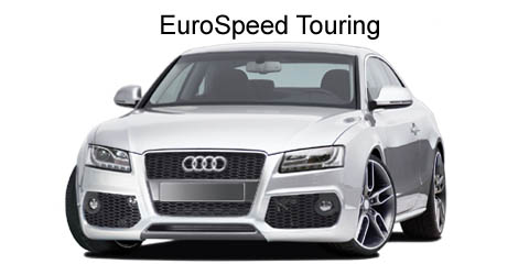 Slammed Audi S5 with Race Mesh Syling