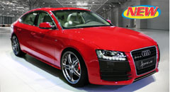 image - click and view Hofele styling for the Audi A5