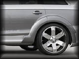 Lower Door Trim and Rear Intake