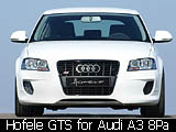 New GTS body kit styling for Audi A3 8pa by Hofele