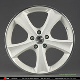 white tettsut with polished face all white polished