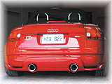 Exhaust, Exhaust Tips and Type M Valance