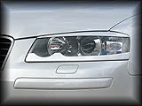 Upper and Lower Headlight Accents